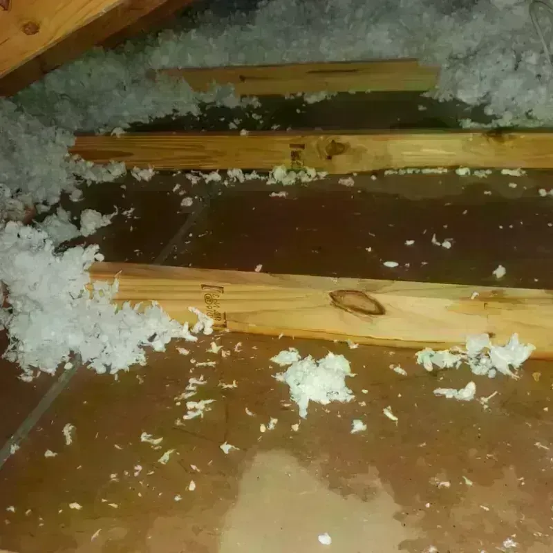 Attic Water Damage in Laguna, NM